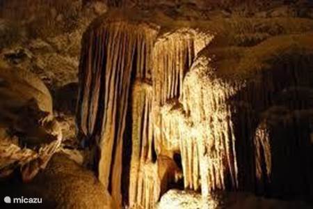 Hato Caves, De grotten van Hato