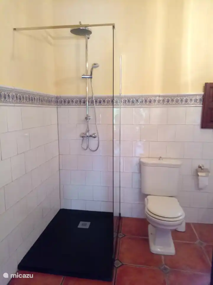 Die geräumige ebenerdige Dusche