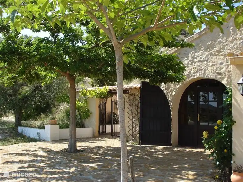 oder im Schatten der Bäume