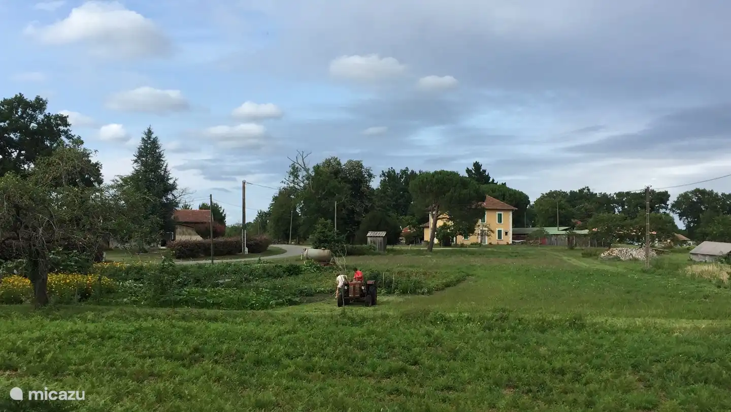 Schöner ruhiger Garten mit freiem Blick.