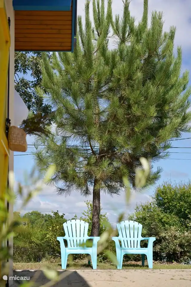 Schöner ruhiger Garten mit freiem Blick.