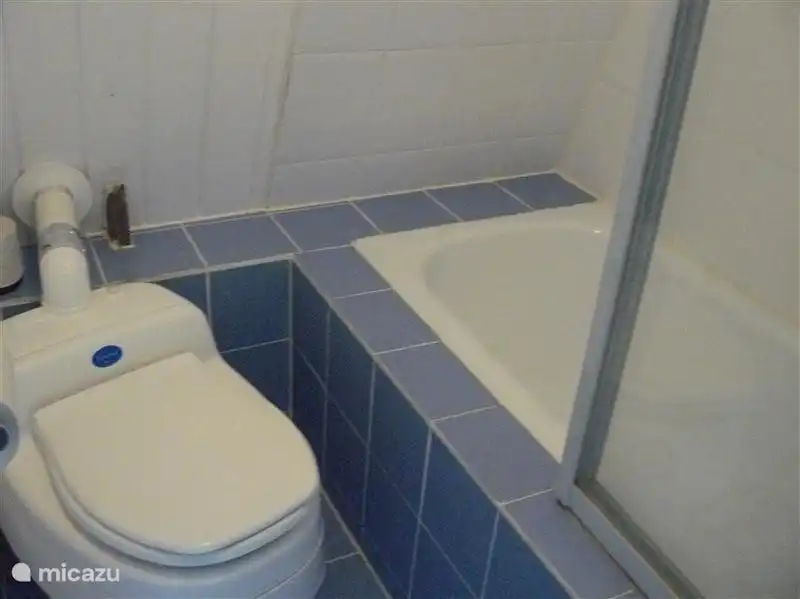 Gemütliches Bad mit Dusche über Bad und WC