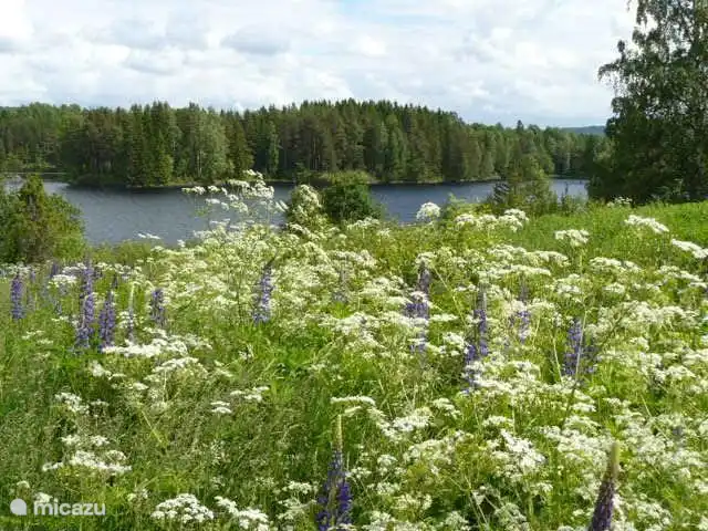 Sehen Sie sich die Askesjön