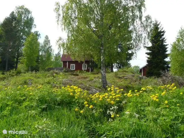 Enebacken von der Straße gesehen