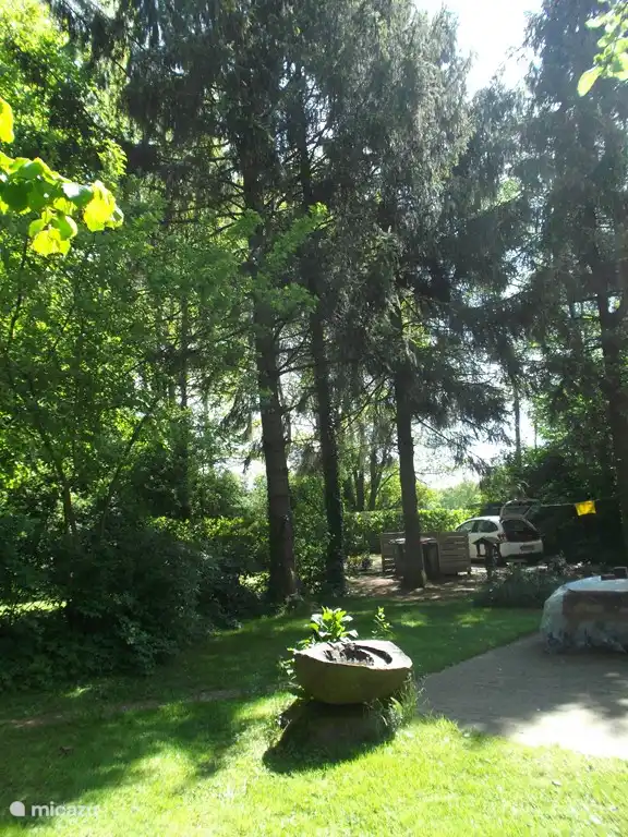 Parken Sie zwischen den hohen Fichten. Hier ist eine zweite Terrasse mit einem Picknicktisch und einem Kunstwerk