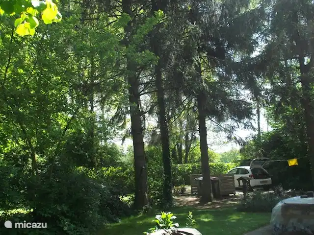 bungalow huren in Nederland, Gelderland, Hummelo – Hessenhuisje Parkeren tussen de hoge sparren. Hier is een tweede terrasje met een picknicktafel en een kunstwerk