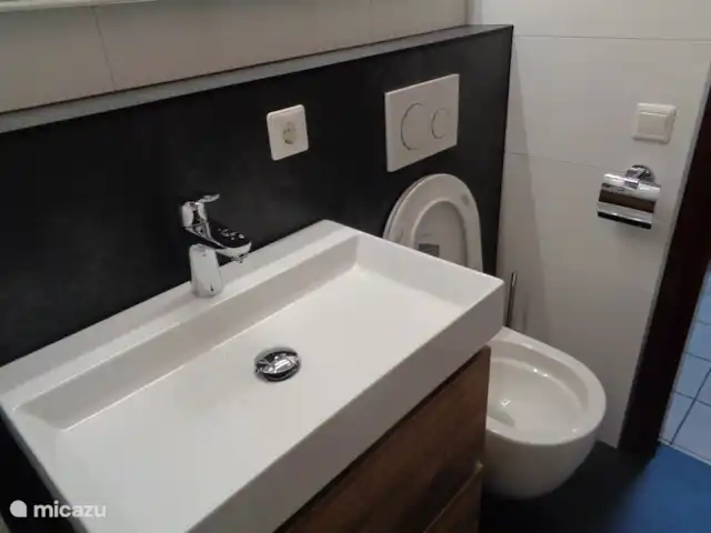 bungalow huren in Nederland, Gelderland, Hummelo – Hessenhuisje De nieuwe design badkamer