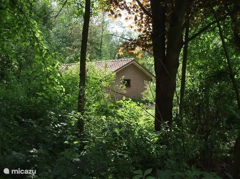 Transparenz durch den parkähnlichen Garten
