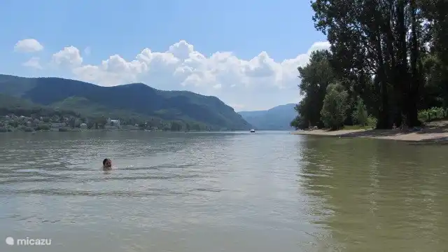nager dans le Danube