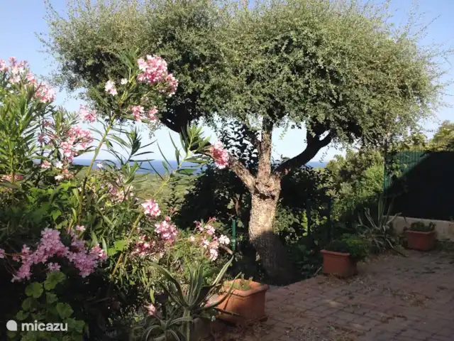 Wandelen, Frankrijk, Corsica, Porto-Vecchio, vakantiehuis La Tortue