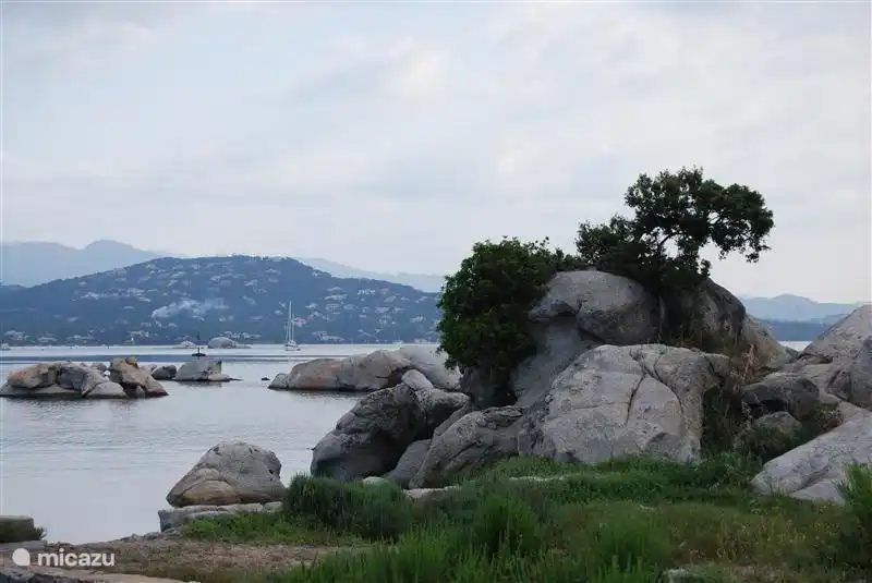 One of the wonderful views from the beach