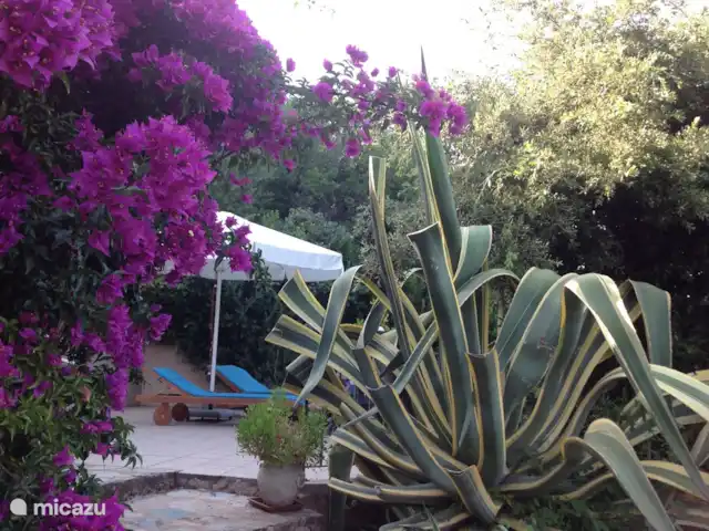 Wandelen, Frankrijk, Corsica, Porto-Vecchio, vakantiehuis La Tortue