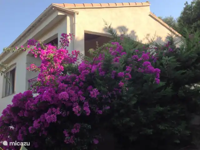 Wandelen, Frankrijk, Corsica, Porto-Vecchio, vakantiehuis La Tortue