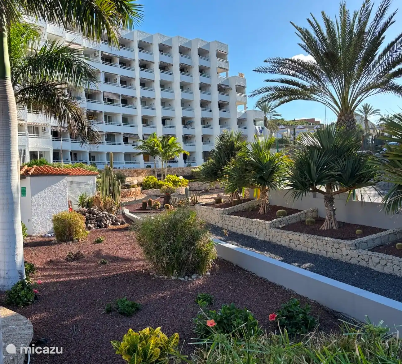 Borinquen in Spain, Tenerife, Playa de las Américas - Apartment