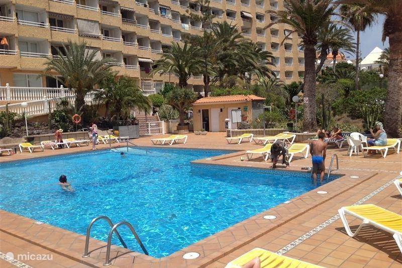 Vacation rental Spain, Tenerife, Playa de las Américas Apartment Borinquen
