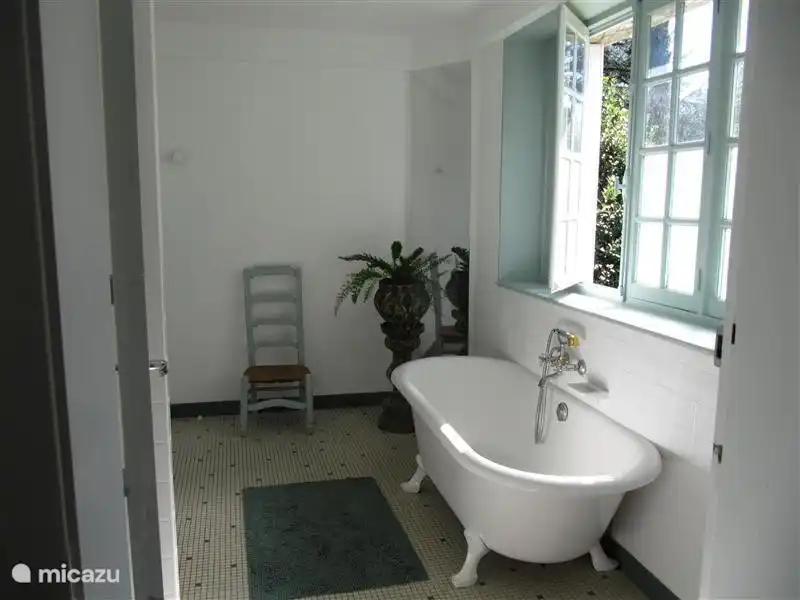 the bathroom downstairs with bath and shower.