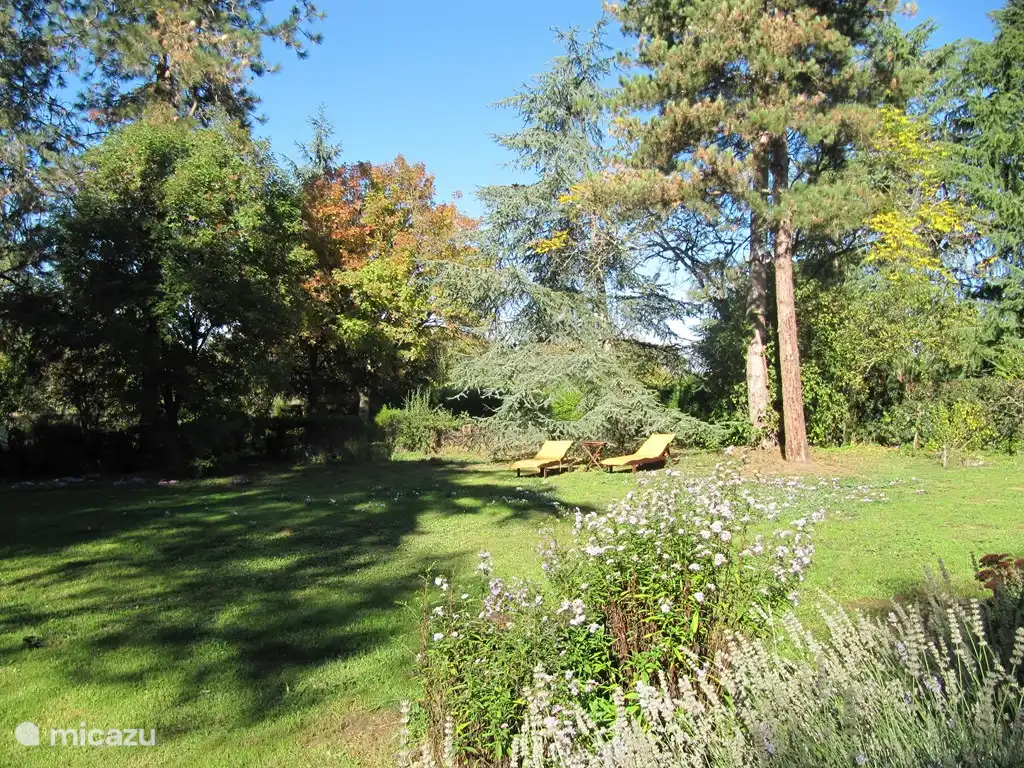 various spots in the garden with sun or shade.