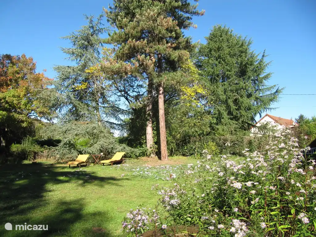 many places around the house to sit in the sun or shade