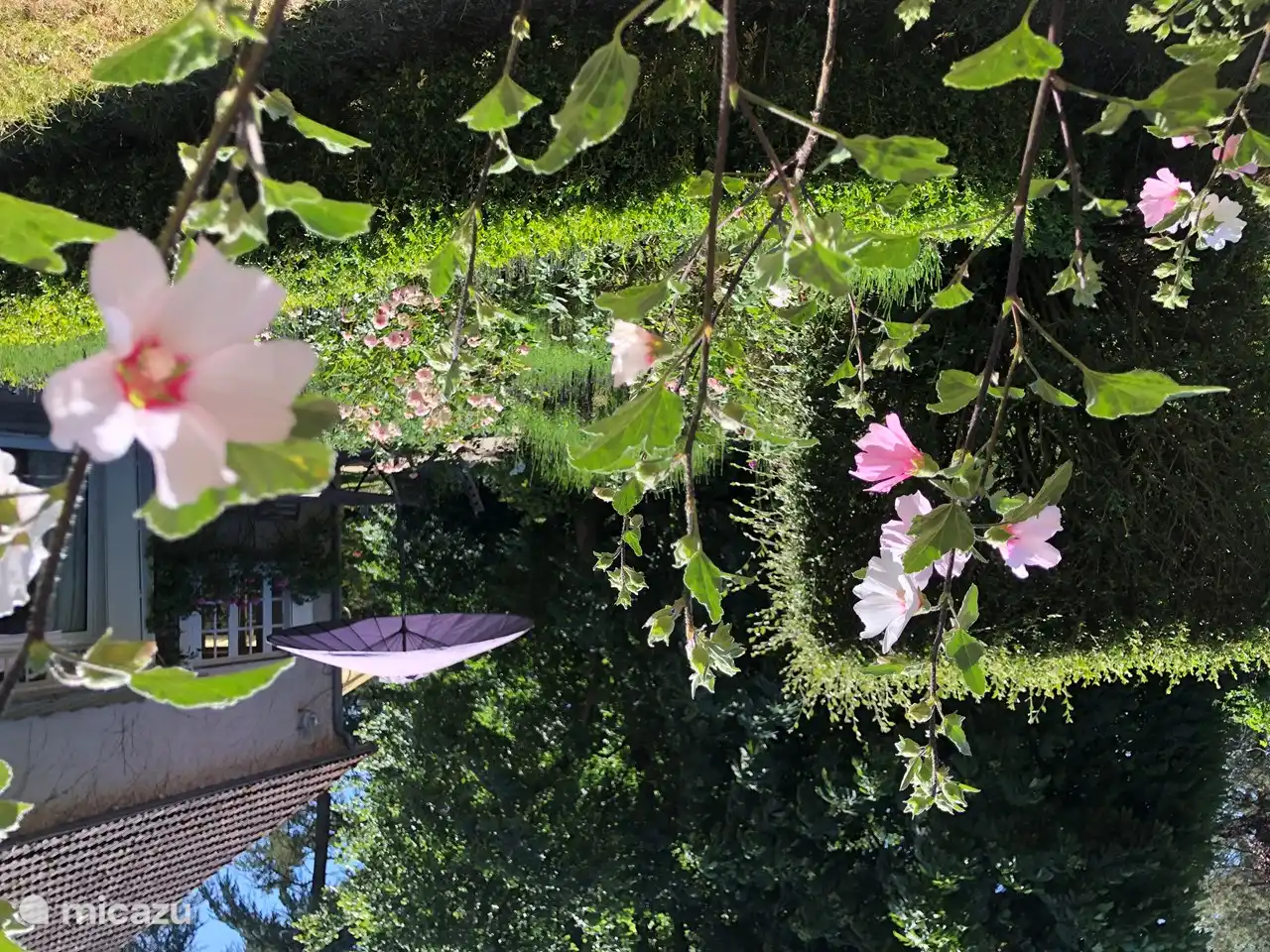 Lots of places to enjoy the silence