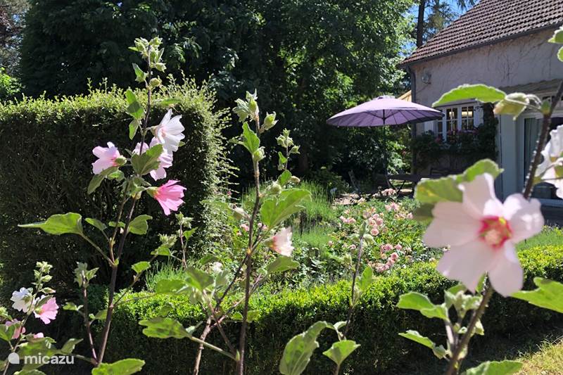 Vacation rental France, Cher, Vesdun Holiday house Le Jardin du Jauny