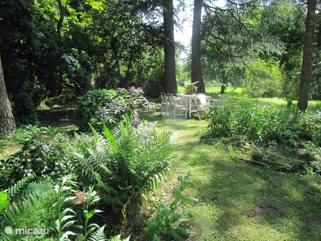 different spots in the large garden to enjoy nature.