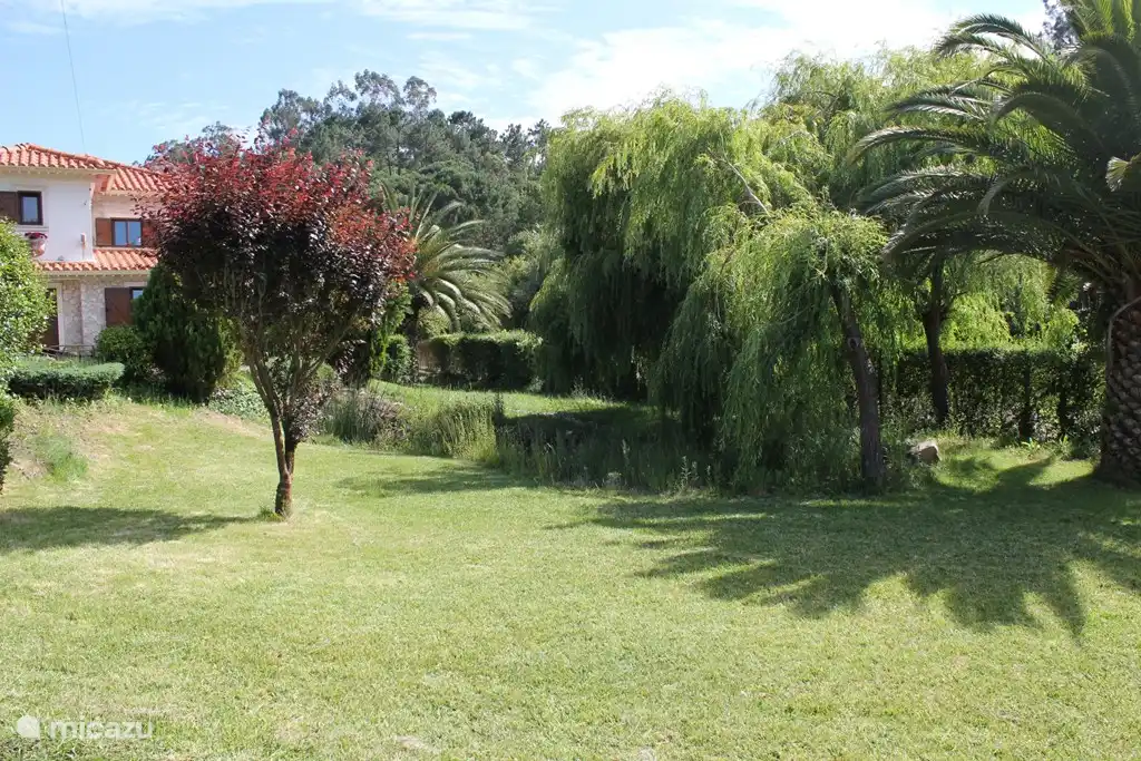 Jardín delantero con estanque.