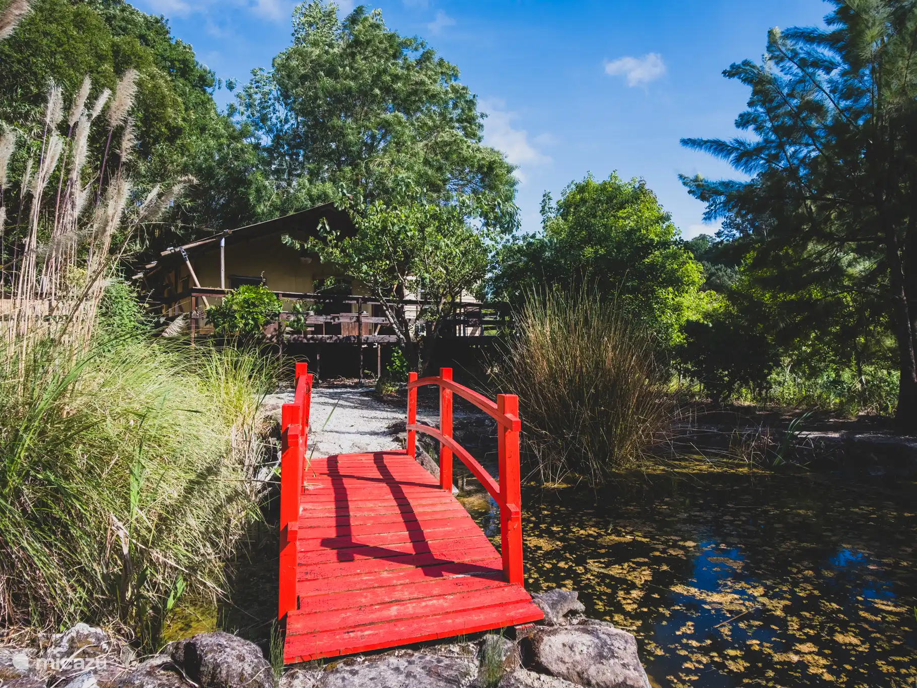 bridge over the pond in front of the safari tent