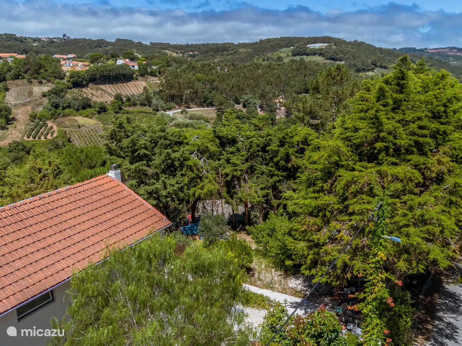 Quinta Japonesa - Casa Pinhal in Portugal, Costa de Prata, Carvalhal Benfeito - Appartement