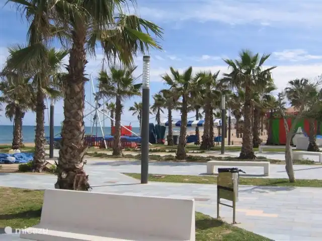 Plage de la Mata | Espagne, Costa Blanca, La Mata - appartement La place du village avec ses nombreux palmiers que l'on retrouve sur la plage. Cette plage se trouve à un peu plus de 100 mètres de l'appartement.