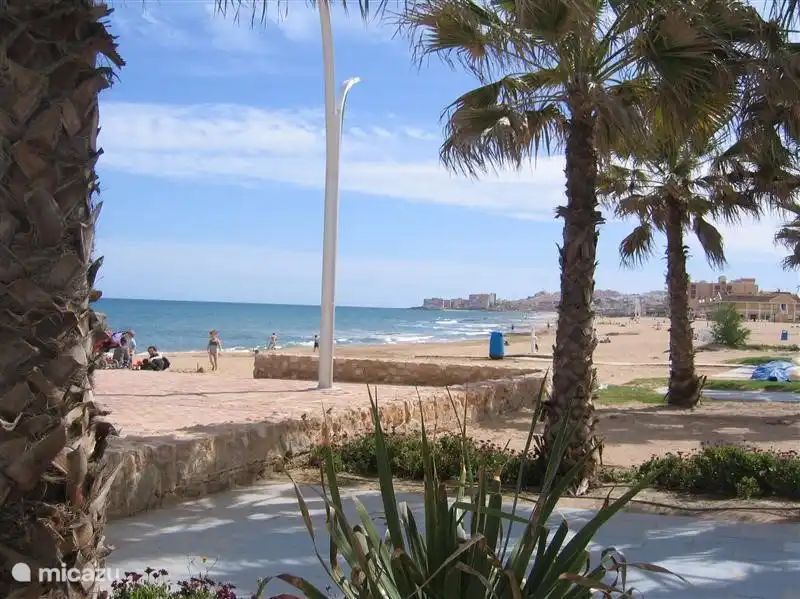 Sol, mar, playa y palmeras