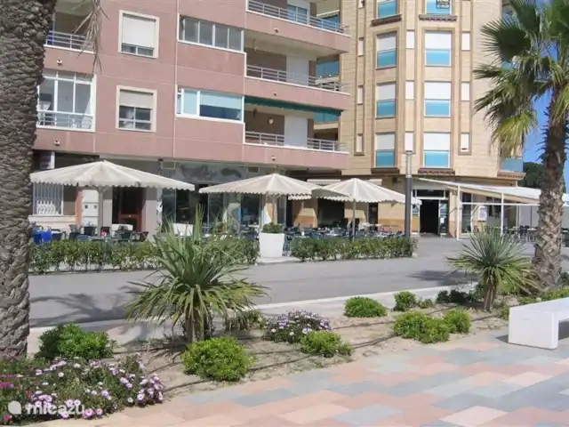 Plage de la Mata | Espagne, Costa Blanca, La Mata - appartement Terrasses sur la place du village.