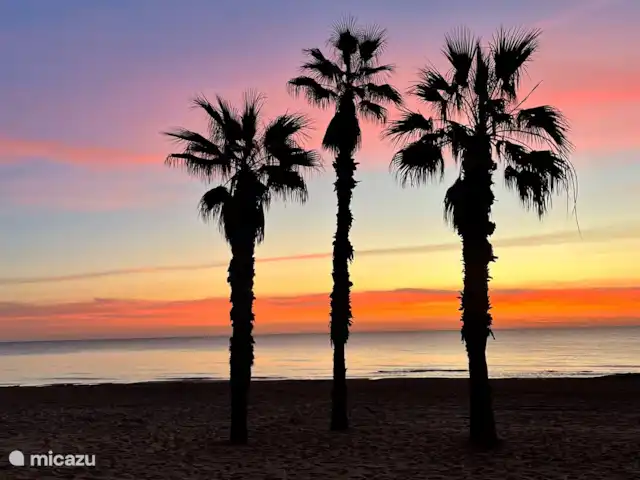 Plage de la Mata | Espagne, Costa Blanca, La Mata - appartement