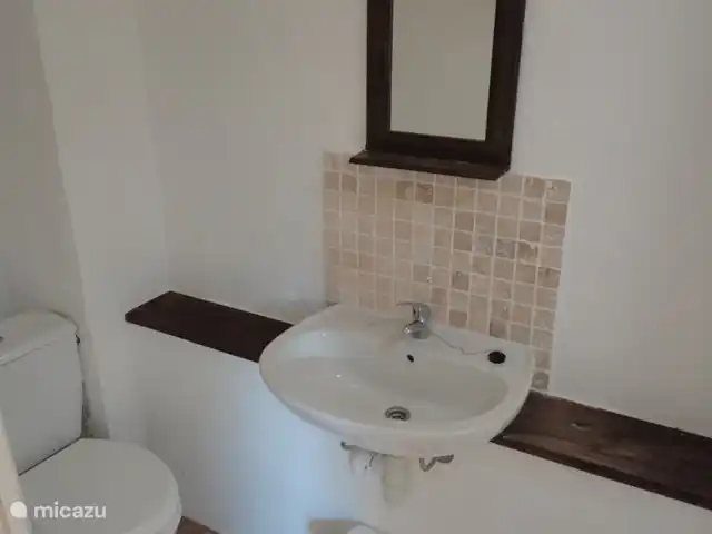 Domaine Horliday | France, Haute-Vienne, Champsac - maison de vacances WC, lavabo et douche 'en suite' appartenant à la chambre au rez-de-chaussée
