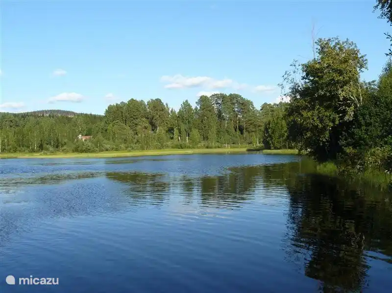 Vom Schwimmen Fischenpier