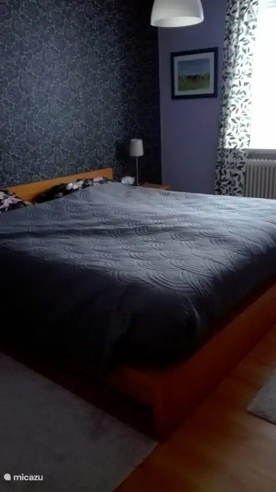 Schlafzimmer mit einem Doppelbett (180x200)