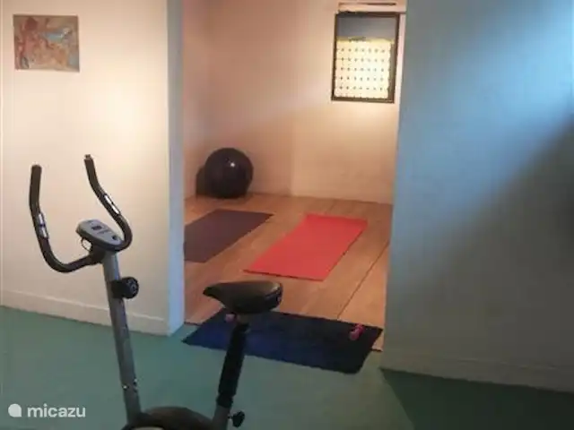 Svabensverk en Suecia, Dalarna, Enviken - casa vacacional Gimnasio en el sótano