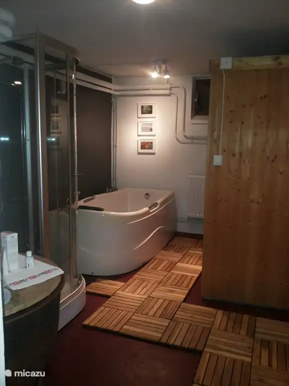 Ein Wellnessbereich mit finnischer Sauna, Whirlpool und Dusche.