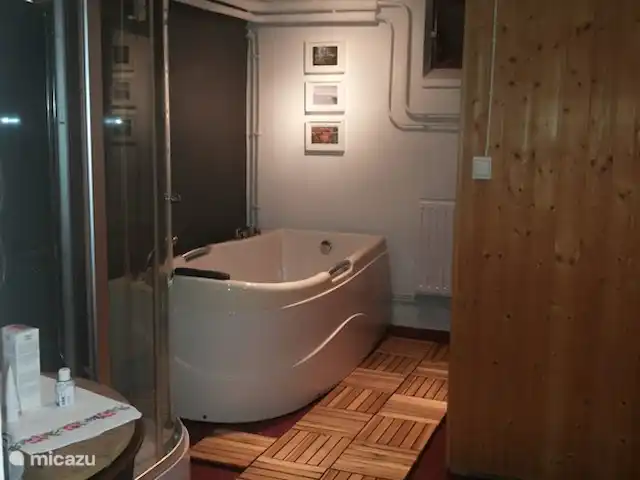 Svabensverk en Suecia, Dalarna, Enviken - casa vacacional Una zona de bienestar con sauna finlandesa, hidromasaje y ducha.