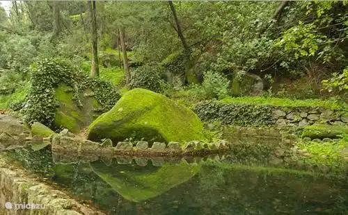 Monchique Nature Walk