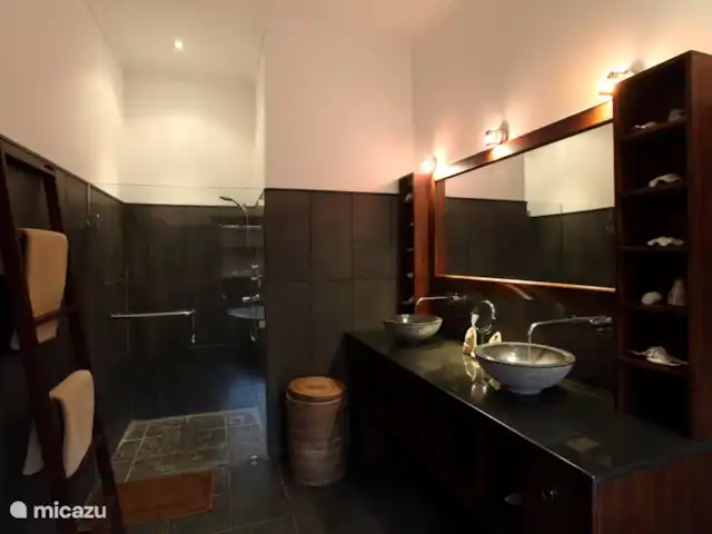 Villa Bunga Melati Luxury villa huren in Indonesië, Bali, Lovina - villa master badkamer