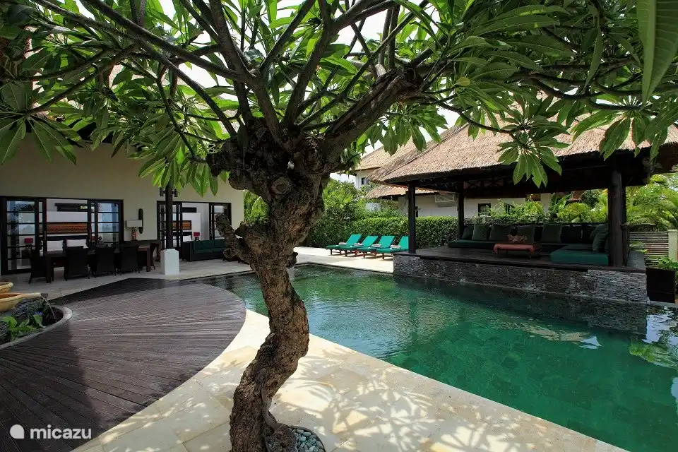 Swimmingpool und Terrasse