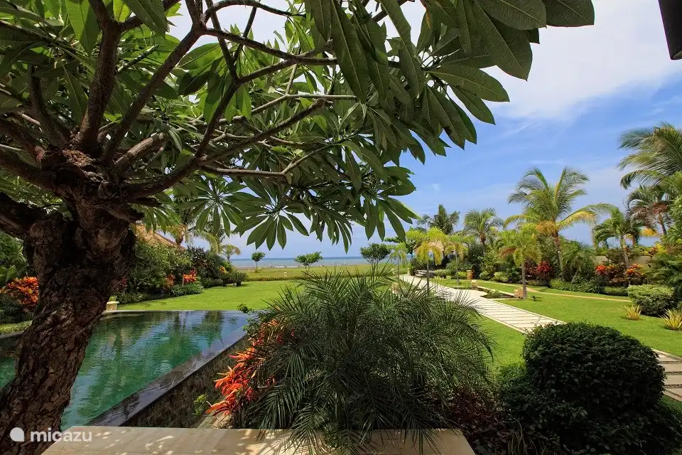 Schwimmbad und Garten