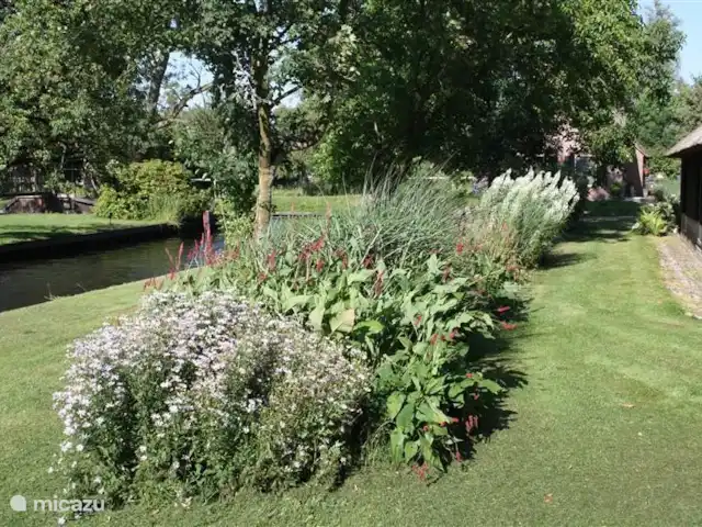 Dwarsgracht 39 en Países Bajos, Overijssel, Giethoorn - casa de campo El hermoso y espacioso jardín con plantas, gran césped y junto al agua.