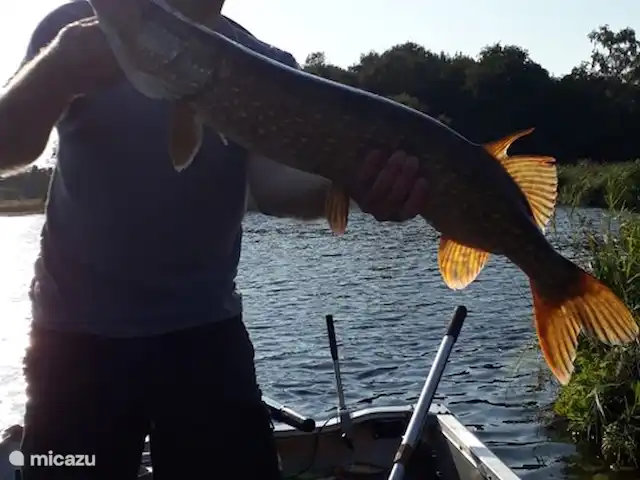 Dwarsgracht 39 en Países Bajos, Overijssel, Giethoorn - casa de campo