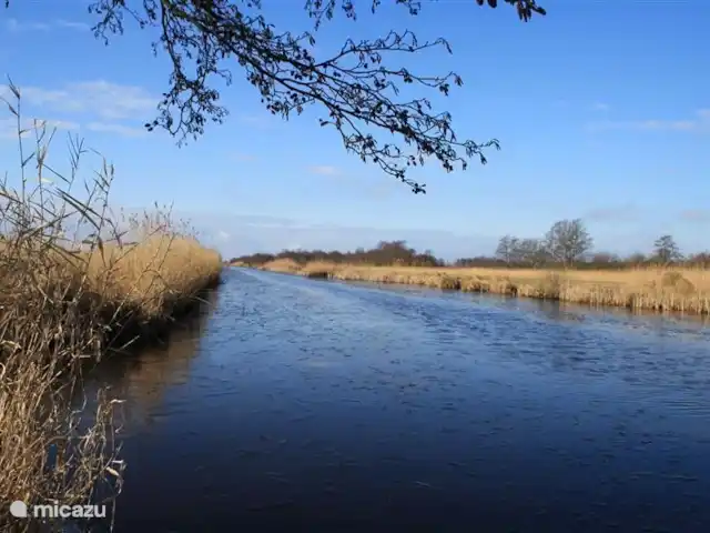 Dwarsgracht 39 en Países Bajos, Overijssel, Giethoorn - casa de campo Miras desde la casa de vacaciones y el jardín hasta la reserva natural de Weerribben-Wieden. Aquí podrá disfrutar de la paz, el espacio y la naturaleza. ¡Incluso puedes ver cigüeñas, ciervos, nutrias, patos y pájaros!