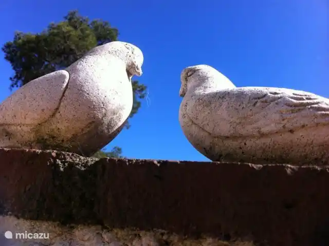 Casa Verdial | Espagne, Costa Brava, L'Estartit - maison de vacances Détail extérieur