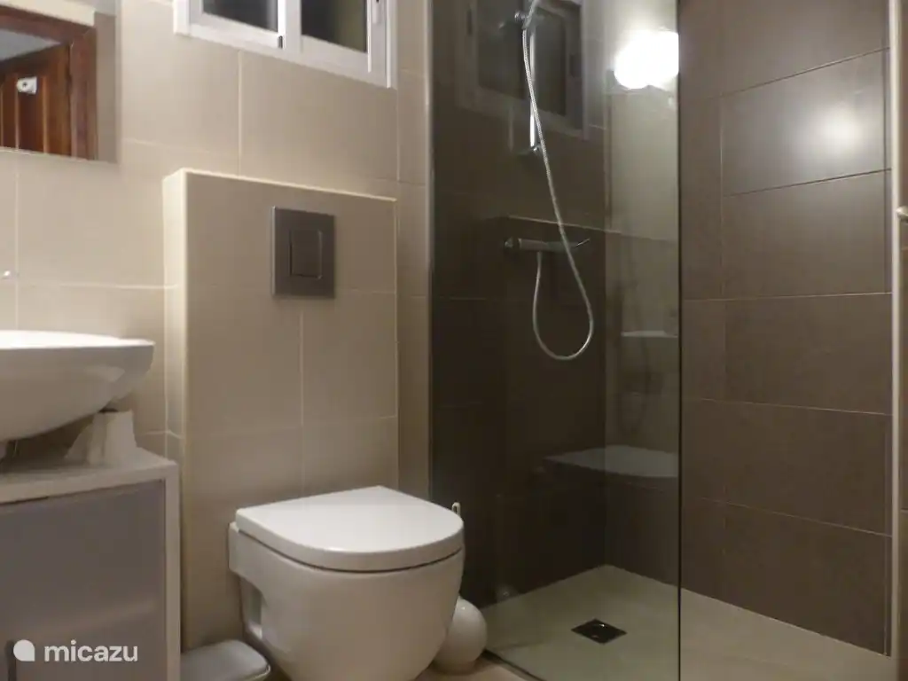 Badezimmer im Erdgeschoss mit Dusche, Waschbecken und Toilette