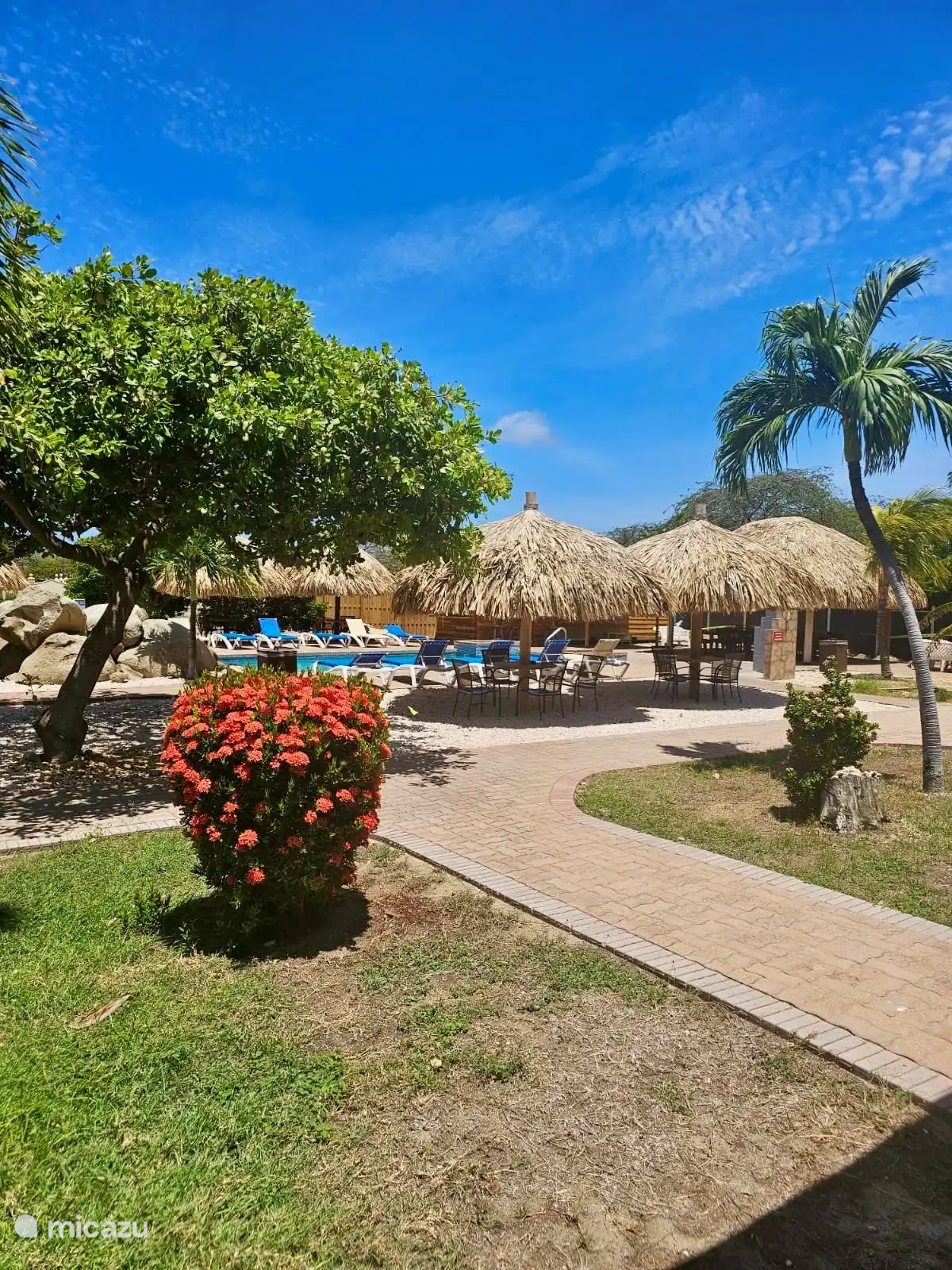 Freier Blick von Ihrem tropischen Garten auf der Terrasse