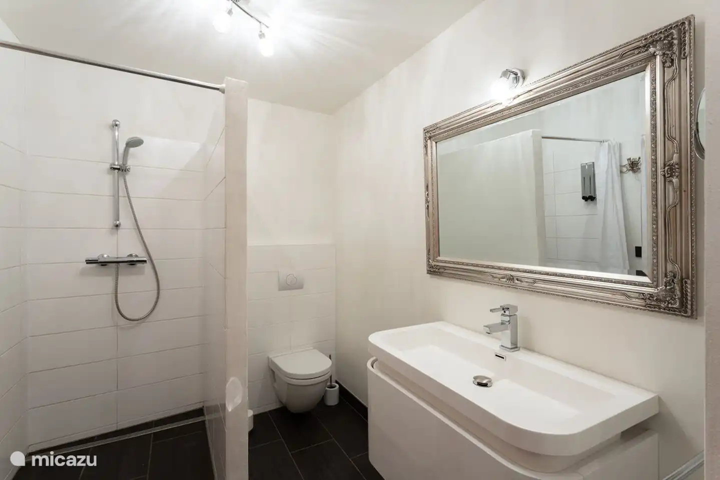 Cuarto de ba&#241;o con ducha, inodoro y lavabo.