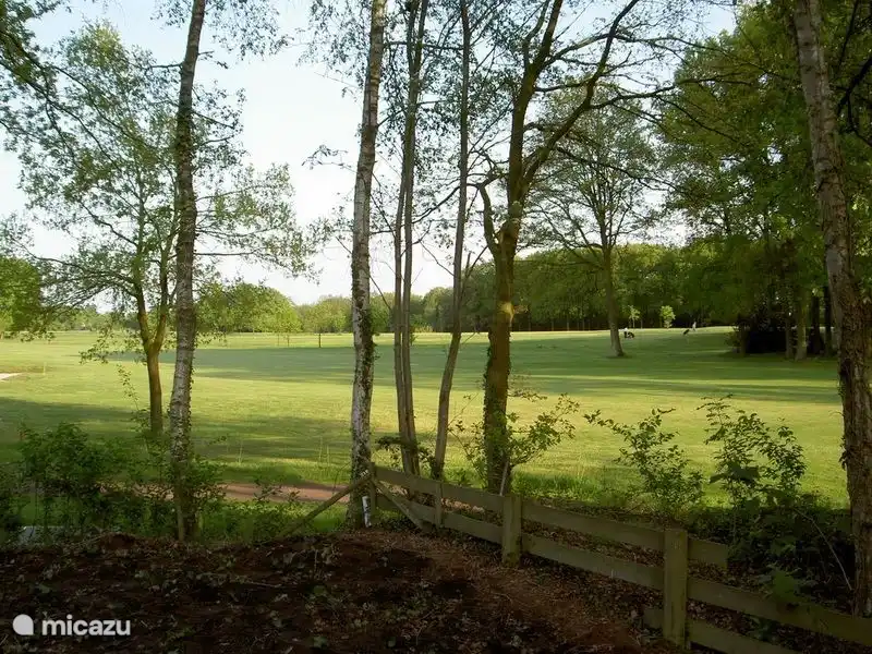 Das ist Ihr Blick über die Bocage-Landschaft